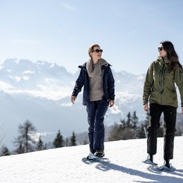 Tevini: hotel in Trentino 4 stelle superior